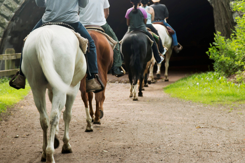horseback riding trails